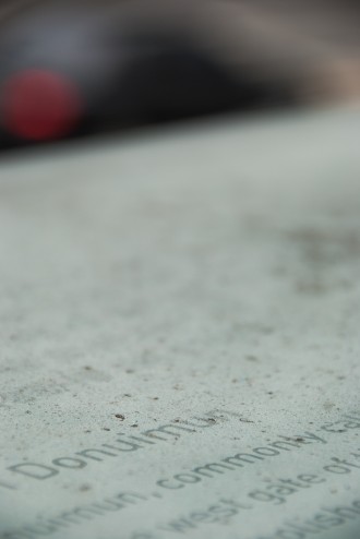 On top of the monument there is a description of Donuimun with s